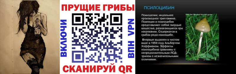 Псилоцибиновые грибы Psilocybine cubensis  купить наркотики сайты  Берёзовский 